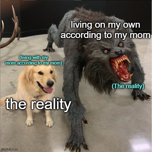 Yeah, mirror world lies are fun, aren't they? | living on my own according to my mom; (living with my mom according to my mom); (The reality); the reality | image tagged in dog vs werewolf | made w/ Imgflip meme maker