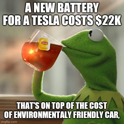 How much for the doggy in the window? | A NEW BATTERY FOR A TESLA COSTS $22K; THAT'S ON TOP OF THE COST OF ENVIRONMENTALY FRIENDLY CAR, | image tagged in but that's none of my business,hazard,nothing to see here,move on,russia | made w/ Imgflip meme maker