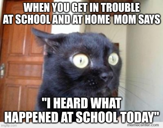 Scared Cat | WHEN YOU GET IN TROUBLE AT SCHOOL AND AT HOME  MOM SAYS; "I HEARD WHAT HAPPENED AT SCHOOL TODAY" | image tagged in scared cat | made w/ Imgflip meme maker