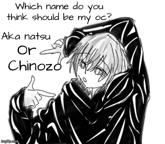 I said Chinozo cuz it’s some artist I like | Which name do you think should be my oc? Aka natsu; Or; Chinozo | image tagged in drawings | made w/ Imgflip meme maker