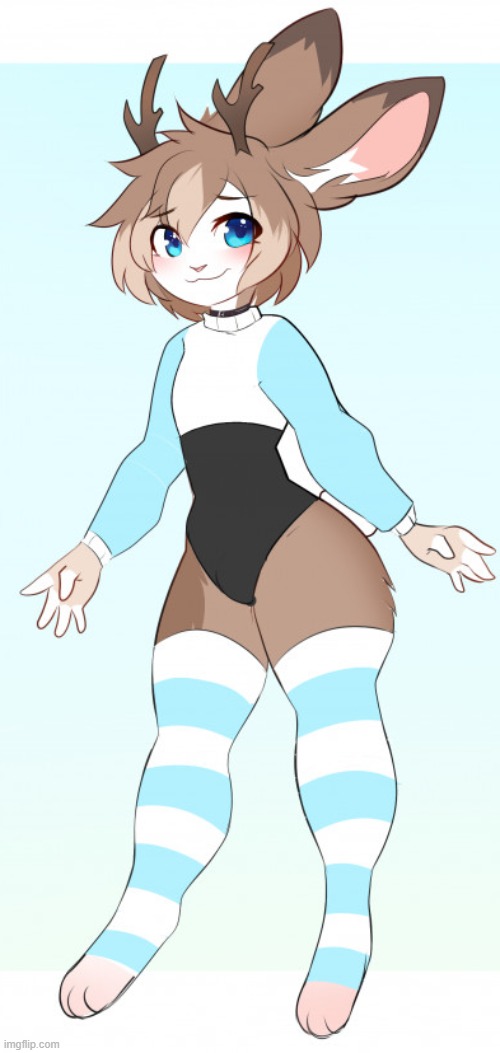 Fun Fact: This character "Yuki", Is straight. What? Did you think all femboys were gay? xD (By Vesperinox) | image tagged in straight,femboy,cute,furry,socks | made w/ Imgflip meme maker