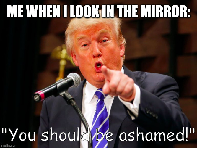 trump point | ME WHEN I LOOK IN THE MIRROR: "You should be ashamed!" | image tagged in trump point | made w/ Imgflip meme maker