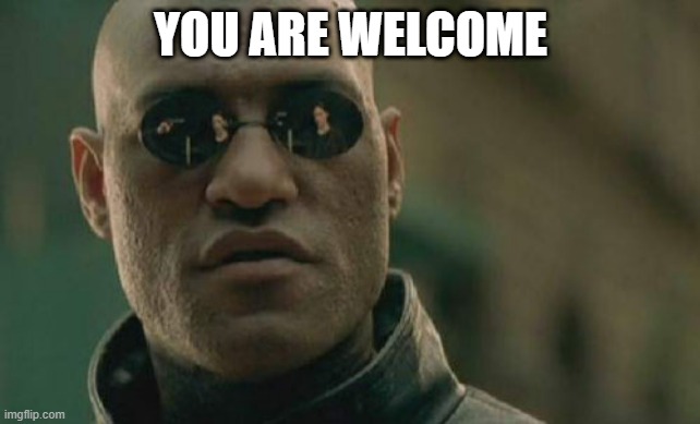 Matrix Morpheus Meme | YOU ARE WELCOME | image tagged in memes,matrix morpheus | made w/ Imgflip meme maker