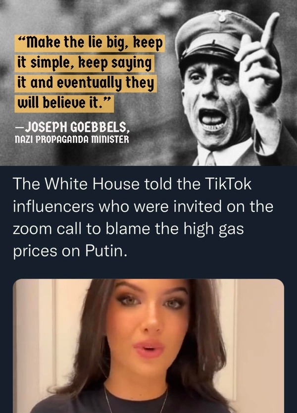 Joe Biden Just Went Full Nazi | image tagged in joe biden,nazis,tiktok,nazi propaganda,sounds like communist propaganda,heil brandon | made w/ Imgflip meme maker