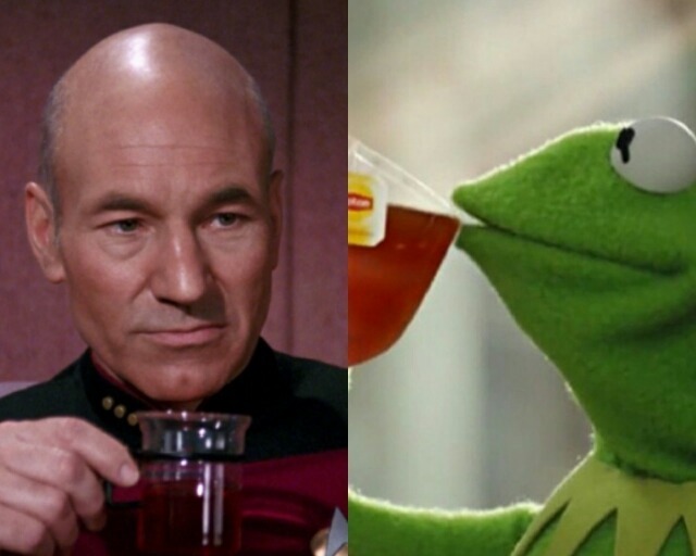 Picard vs. Kermit Blank Meme Template