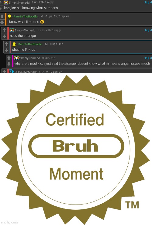 bruh moment | image tagged in certified bruh moment | made w/ Imgflip meme maker
