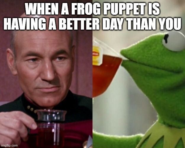 Picard, Earl Grey, Kermit, Lipton | WHEN A FROG PUPPET IS HAVING A BETTER DAY THAN YOU | image tagged in picard vs kermit | made w/ Imgflip meme maker
