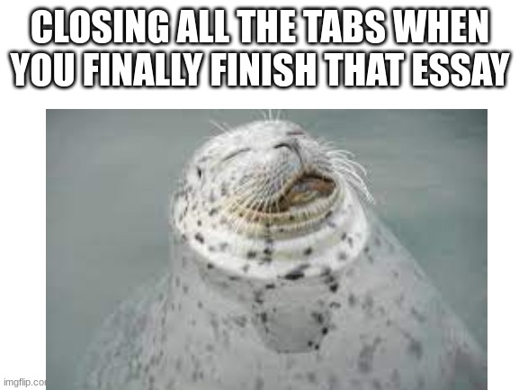 CLOSING ALL THE TABS WHEN YOU FINALLY FINISH THAT ESSAY | image tagged in seals | made w/ Imgflip meme maker