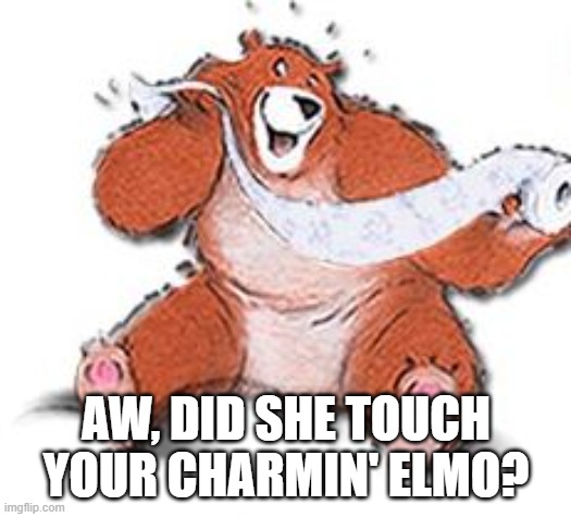charmin | AW, DID SHE TOUCH YOUR CHARMIN' ELMO? | image tagged in charmin | made w/ Imgflip meme maker