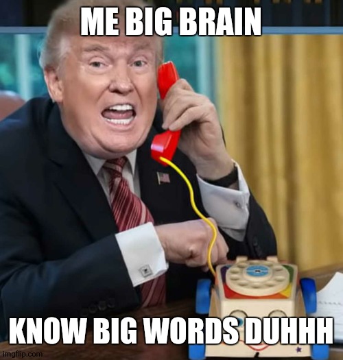 said something stupid again | ME BIG BRAIN; KNOW BIG WORDS DUHHH | image tagged in i'm the president,alvvays | made w/ Imgflip meme maker