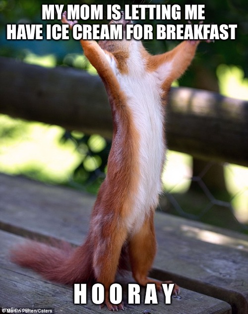 Y u m | MY MOM IS LETTING ME HAVE ICE CREAM FOR BREAKFAST; H O O R A Y | image tagged in hooray | made w/ Imgflip meme maker