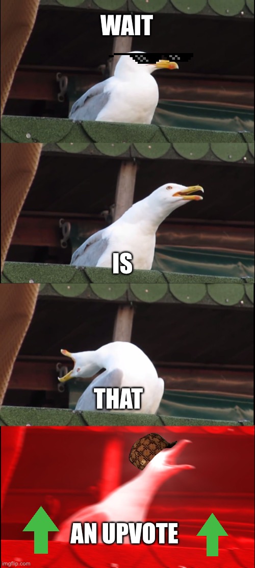 YEA! | WAIT; IS; THAT; AN UPVOTE | image tagged in memes,inhaling seagull | made w/ Imgflip meme maker