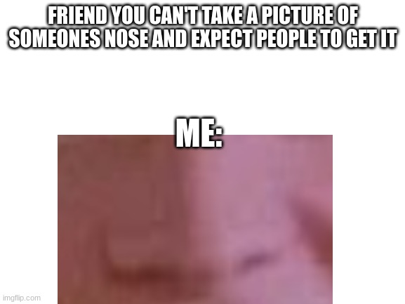 noses |  FRIEND YOU CAN'T TAKE A PICTURE OF SOMEONES NOSE AND EXPECT PEOPLE TO GET IT; ME: | image tagged in meme | made w/ Imgflip meme maker