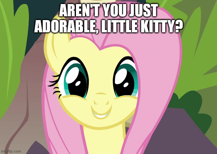 AREN'T YOU JUST ADORABLE, LITTLE KITTY? | made w/ Imgflip meme maker
