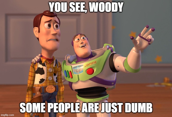 X, X Everywhere Meme | YOU SEE, WOODY SOME PEOPLE ARE JUST DUMB | image tagged in memes,x x everywhere,dumb | made w/ Imgflip meme maker