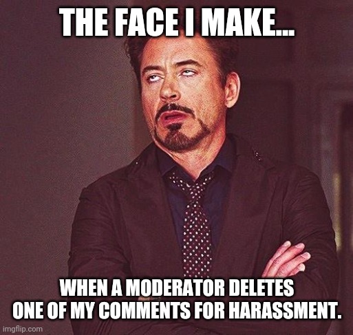 I guess telling a liberal that their stupidity is impressive is harassment. | THE FACE I MAKE... WHEN A MODERATOR DELETES ONE OF MY COMMENTS FOR HARASSMENT. | image tagged in robert downey jr annoyed | made w/ Imgflip meme maker