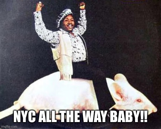 NYC | NYC ALL THE WAY BABY!! | image tagged in new york city,nyc,fun,meme,s oop | made w/ Imgflip meme maker