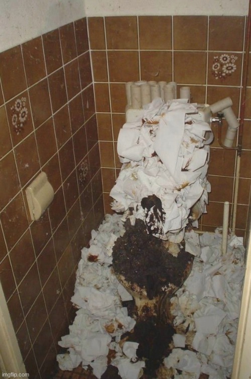 anon says he never was able to unclog the toilet nor did he have a trashbin | made w/ Imgflip meme maker