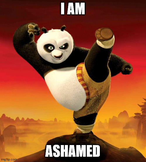kung fu panda | I AM ASHAMED | image tagged in kung fu panda | made w/ Imgflip meme maker
