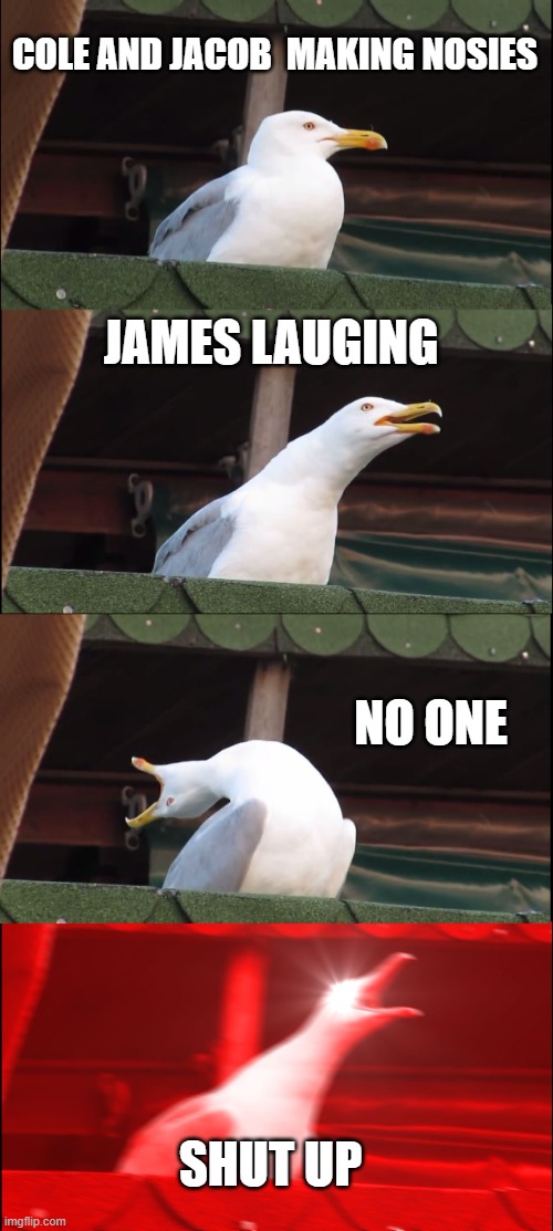 don't make noises |  COLE AND JACOB  MAKING NOSIES; JAMES LAUGING; NO ONE; SHUT UP | image tagged in memes,inhaling seagull | made w/ Imgflip meme maker
