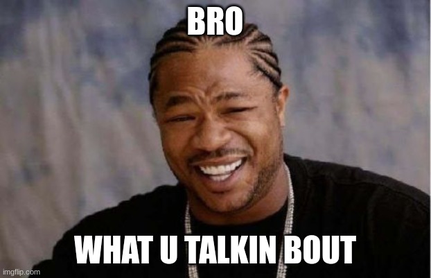 Yo Dawg Heard You | BRO; WHAT U TALKIN BOUT | image tagged in memes,yo dawg heard you | made w/ Imgflip meme maker