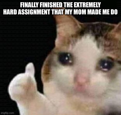 F i n n a l y | FINALLY FINISHED THE EXTREMELY HARD ASSIGNMENT THAT MY MOM MADE ME DO | image tagged in sad thumbs up cat | made w/ Imgflip meme maker
