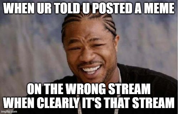 Lol wrong stream=the right one | WHEN UR TOLD U POSTED A MEME; ON THE WRONG STREAM WHEN CLEARLY IT'S THAT STREAM | image tagged in memes,yo dawg heard you | made w/ Imgflip meme maker