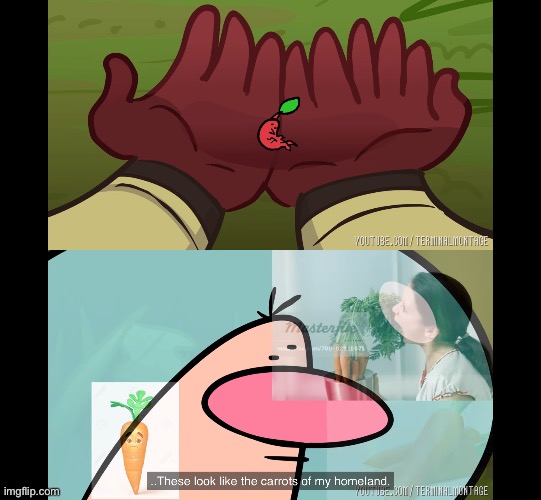 C a r r o t s | made w/ Imgflip meme maker