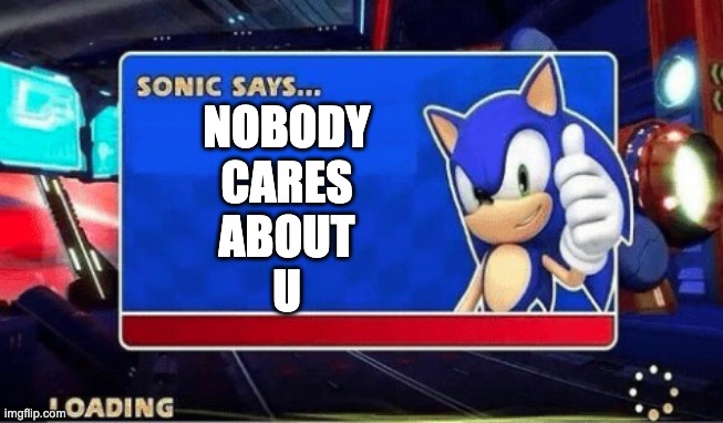 sonic says | NOBODY
CARES
ABOUT
U | image tagged in sonic says | made w/ Imgflip meme maker