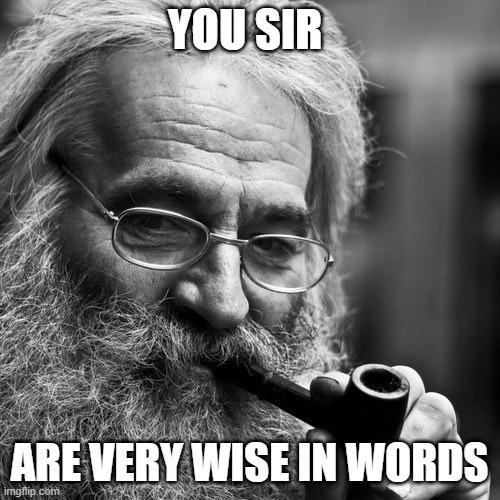 Old Wise Man | YOU SIR ARE VERY WISE IN WORDS | image tagged in old wise man | made w/ Imgflip meme maker