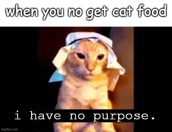 cat |  when you no get cat food; i have no purpose. | image tagged in cat,bruh,cat food,arab | made w/ Imgflip meme maker
