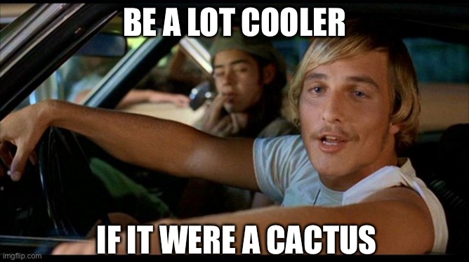 It'd be a lot cooler... | BE A LOT COOLER IF IT WERE A CACTUS | image tagged in it'd be a lot cooler | made w/ Imgflip meme maker