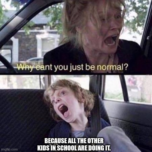 Why Can't You Just Be Normal |  BECAUSE ALL THE OTHER KIDS IN SCHOOL ARE DOING IT. | image tagged in why can't you just be normal | made w/ Imgflip meme maker