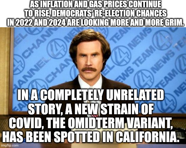 I'm betting they're going to try and pull this again. But unlike the last time, it ain't gonna work! | AS INFLATION AND GAS PRICES CONTINUE TO RISE, DEMOCRATS' RE-ELECTION CHANCES IN 2022 AND 2024 ARE LOOKING MORE AND MORE GRIM. IN A COMPLETELY UNRELATED STORY, A NEW STRAIN OF COVID, THE OMIDTERM VARIANT, HAS BEEN SPOTTED IN CALIFORNIA. | image tagged in memes,blank transparent square,breaking news | made w/ Imgflip meme maker