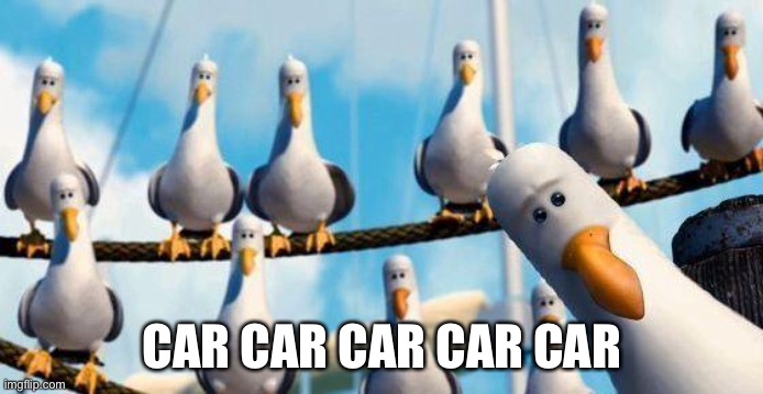 Nemo Birds | CAR CAR CAR CAR CAR | image tagged in nemo birds | made w/ Imgflip meme maker