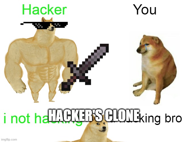 Hacker; You; HACKER'S CLONE; i not hacking; u hacking bro | image tagged in hello,bye,why are you reading this,doge,buff doge vs cheems | made w/ Imgflip meme maker