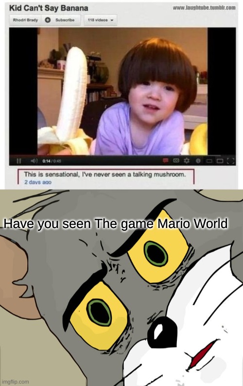 Have you seen The game Mario World | image tagged in memes,unsettled tom | made w/ Imgflip meme maker