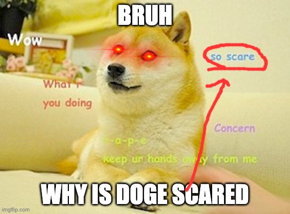 Doge scared?! | BRUH; WHY IS DOGE SCARED | image tagged in memes | made w/ Imgflip meme maker