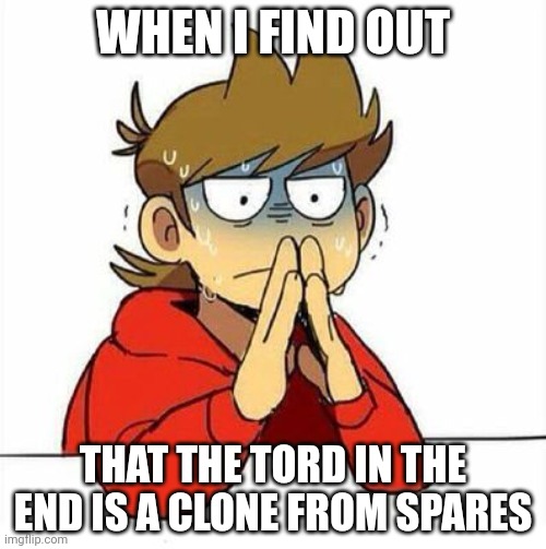 Me | WHEN I FIND OUT; THAT THE TORD IN THE END IS A CLONE FROM SPARES | image tagged in uncomfortable,tord,eddsworld | made w/ Imgflip meme maker