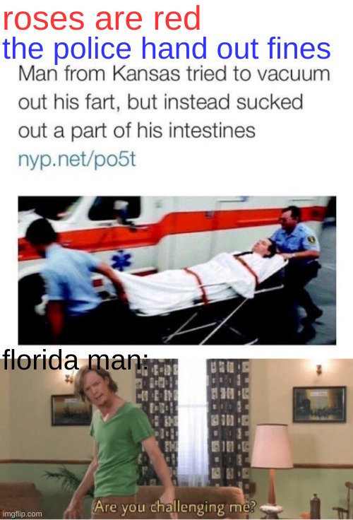 i almost feel... bad? | roses are red; the police hand out fines; florida man: | image tagged in are you challenging me,funny,memes,funny memes,barney will eat all of your delectable biscuits,florida man | made w/ Imgflip meme maker