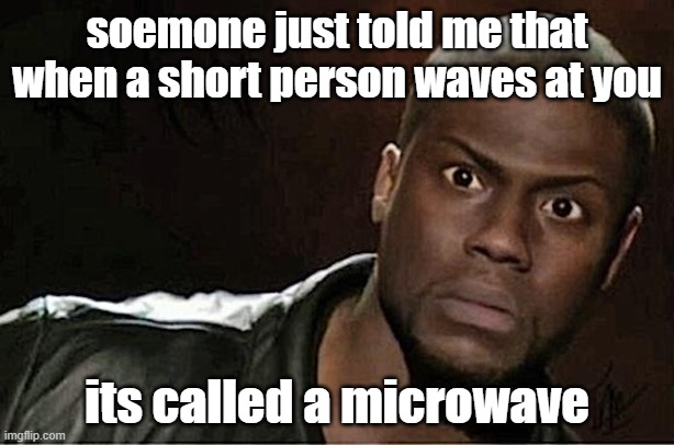 microwave |  soemone just told me that when a short person waves at you; its called a microwave | image tagged in memes,kevin hart | made w/ Imgflip meme maker