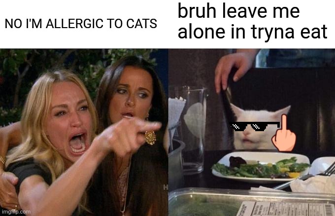 Angry cat | bruh leave me alone in tryna eat; NO I'M ALLERGIC TO CATS | image tagged in memes,woman yelling at cat | made w/ Imgflip meme maker