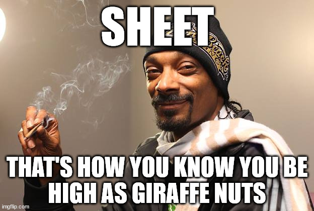 Snoop Dogg | SHEET THAT'S HOW YOU KNOW YOU BE
HIGH AS GIRAFFE NUTS | image tagged in snoop dogg | made w/ Imgflip meme maker