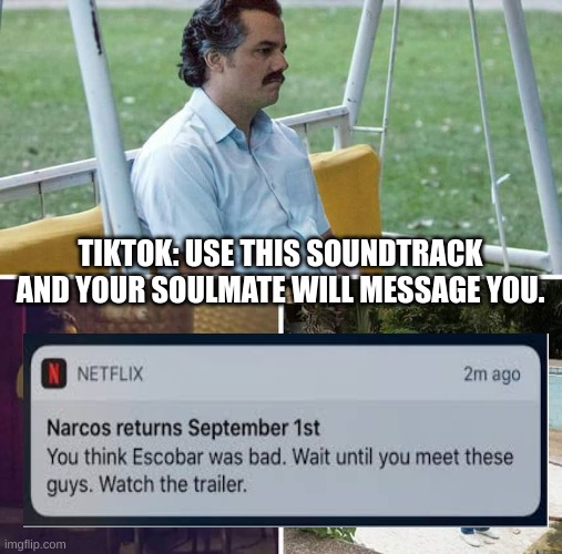 what | TIKTOK: USE THIS SOUNDTRACK AND YOUR SOULMATE WILL MESSAGE YOU. | image tagged in memes,sad pablo escobar | made w/ Imgflip meme maker