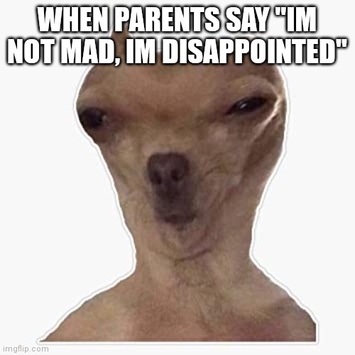 confusion | WHEN PARENTS SAY "IM NOT MAD, IM DISAPPOINTED" | image tagged in are you sure about that,memes,funny,funny memes,parents | made w/ Imgflip meme maker