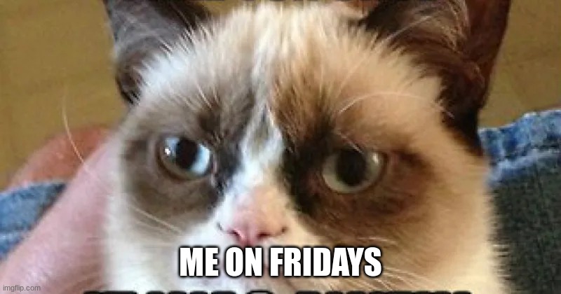 ME ON FRIDAYS | image tagged in grumpy cat | made w/ Imgflip meme maker
