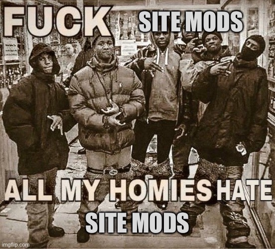 All My Homies Hate | SITE MODS; SITE MODS | image tagged in all my homies hate | made w/ Imgflip meme maker