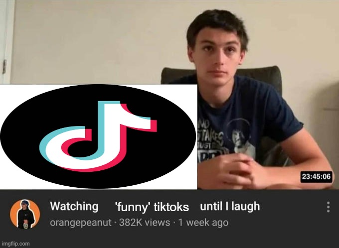 br | 'funny' tiktoks | image tagged in watching until i laugh | made w/ Imgflip meme maker