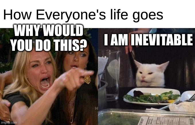 When you get judged publicly | How Everyone's life goes; WHY WOULD YOU DO THIS? I AM INEVITABLE | image tagged in memes,woman yelling at cat | made w/ Imgflip meme maker