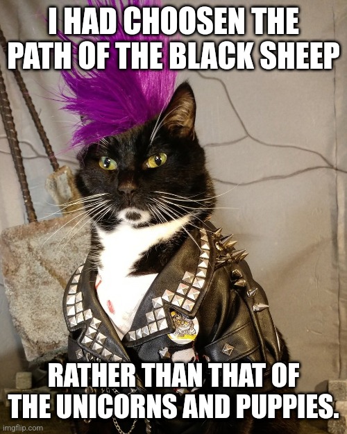 Out of Step... |  I HAD CHOOSEN THE PATH OF THE BLACK SHEEP; RATHER THAN THAT OF THE UNICORNS AND PUPPIES. | image tagged in punk rock,individuality,black sheep | made w/ Imgflip meme maker